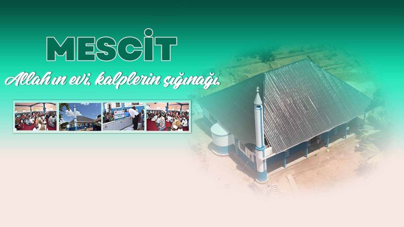 Mescit